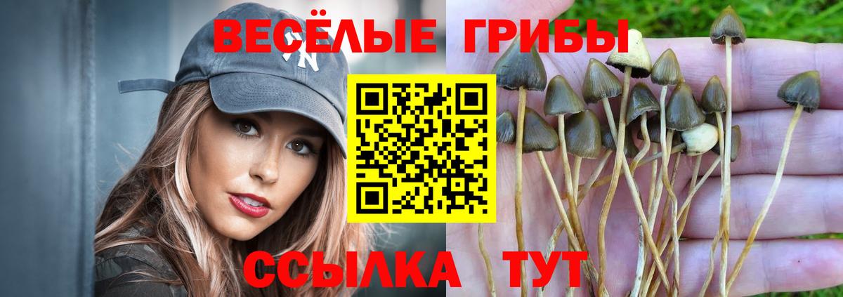 Губаха  Галлюциногенные грибы GOLDEN TEACHER  Псилоцибиновые грибы мухоморы  Вход с VPN 