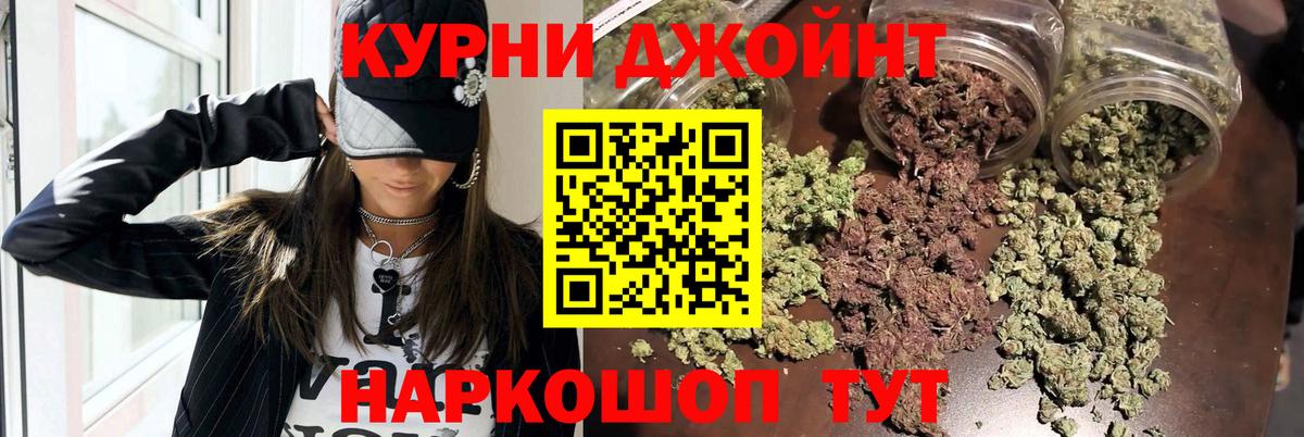 Марихуана сатива Губаха